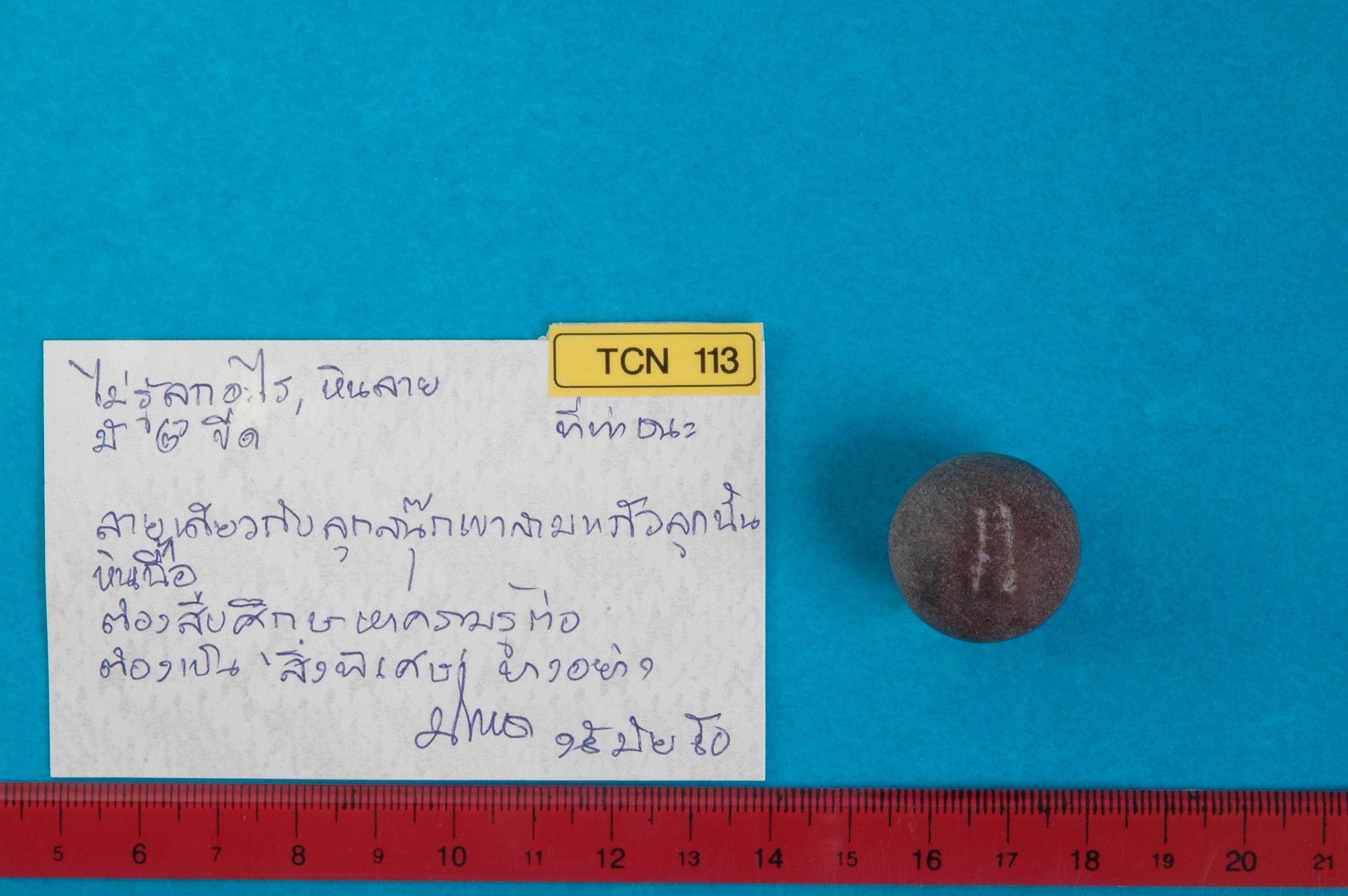 TCN 113.jpg